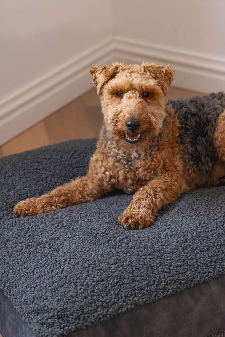 Designed by Lotte Hundekissen Yndis